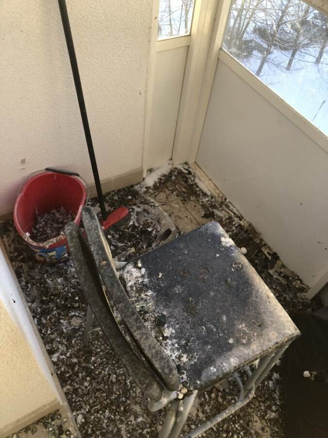 Balkon plný holubího trusu před úklidem