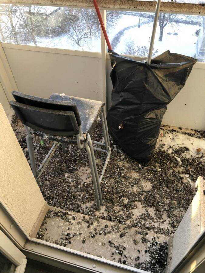 Holubí trus na podlaze balkonu před úklidem