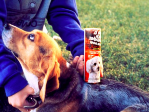 Přípravek na hubení blech