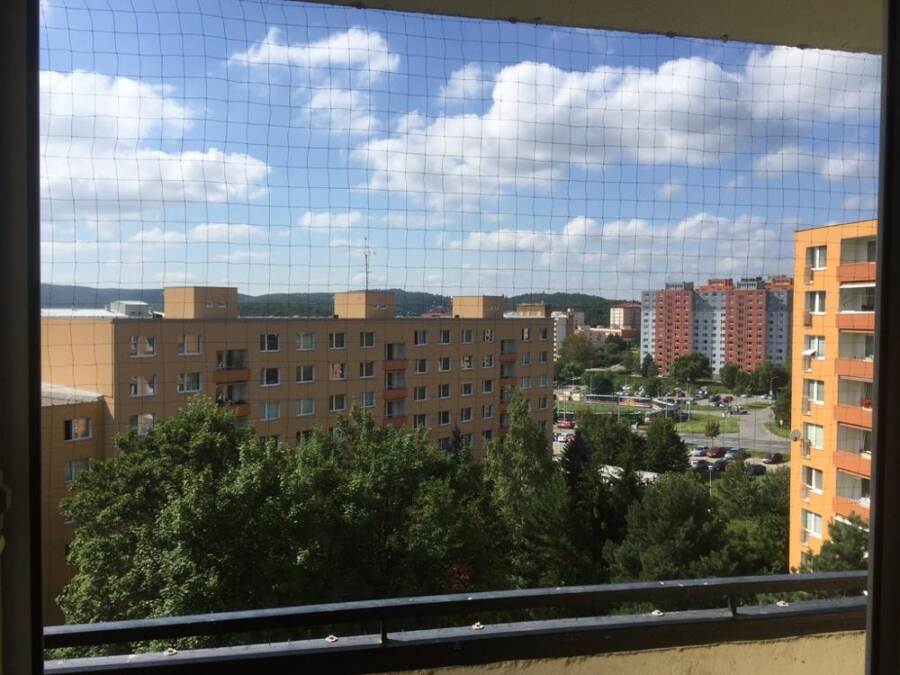 Výhled z balkonu přes síť proti holubům